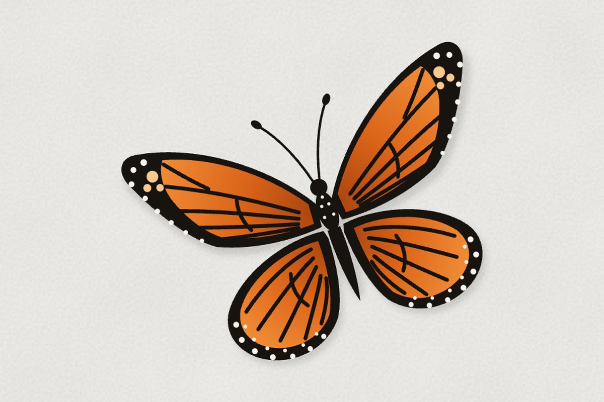 The first prototype: a flat vector monarch seen from directly above, crisp black outlines and straight parallel veins