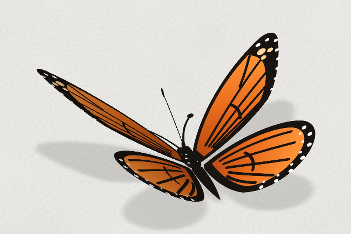 The CSS 3D version: the same flat wing art on four rigid cards, one wing raised toward the camera