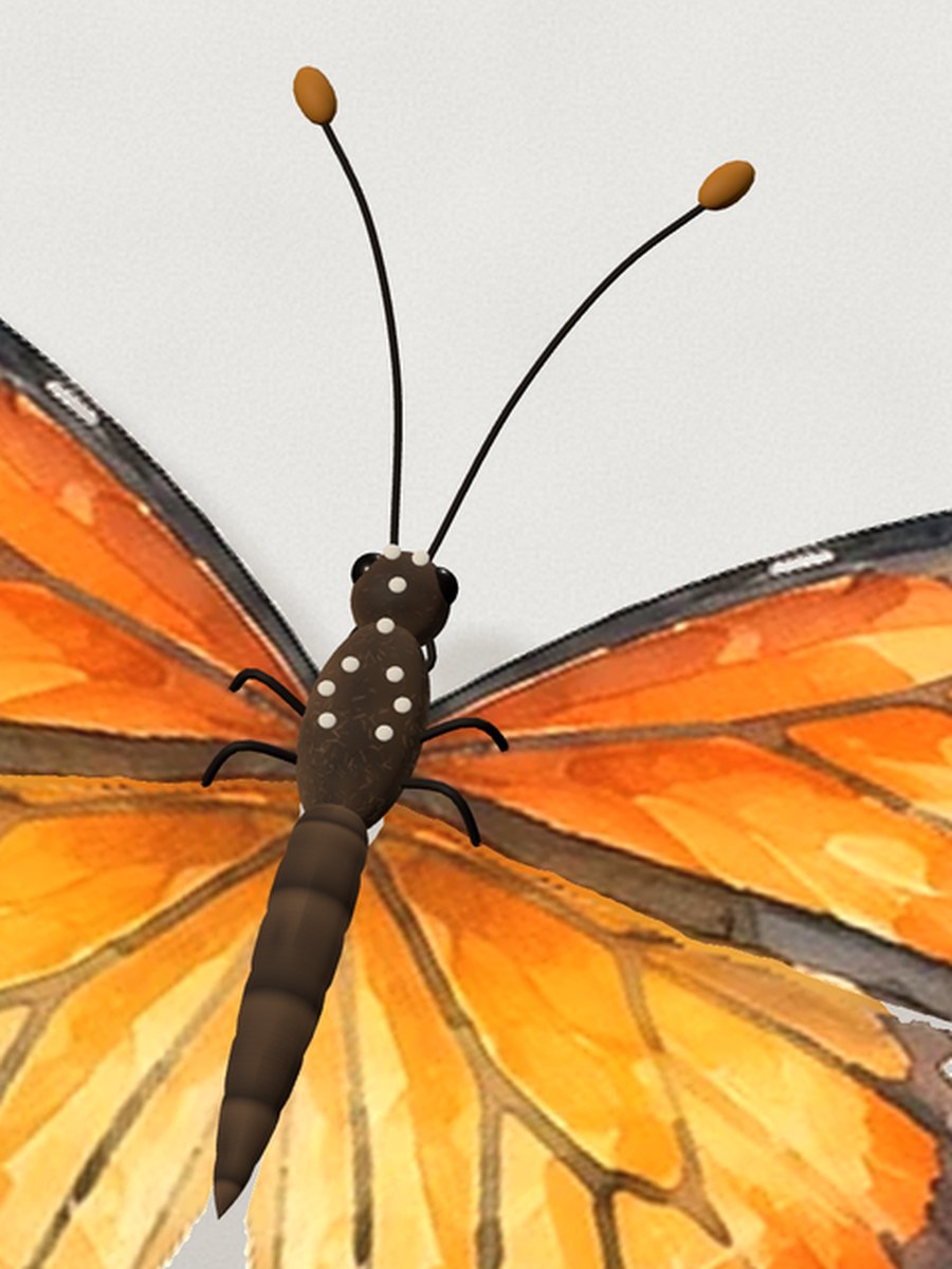 After, same view: a ringed, warm brown abdomen, a spotted fuzzy thorax and dark glossy eyes