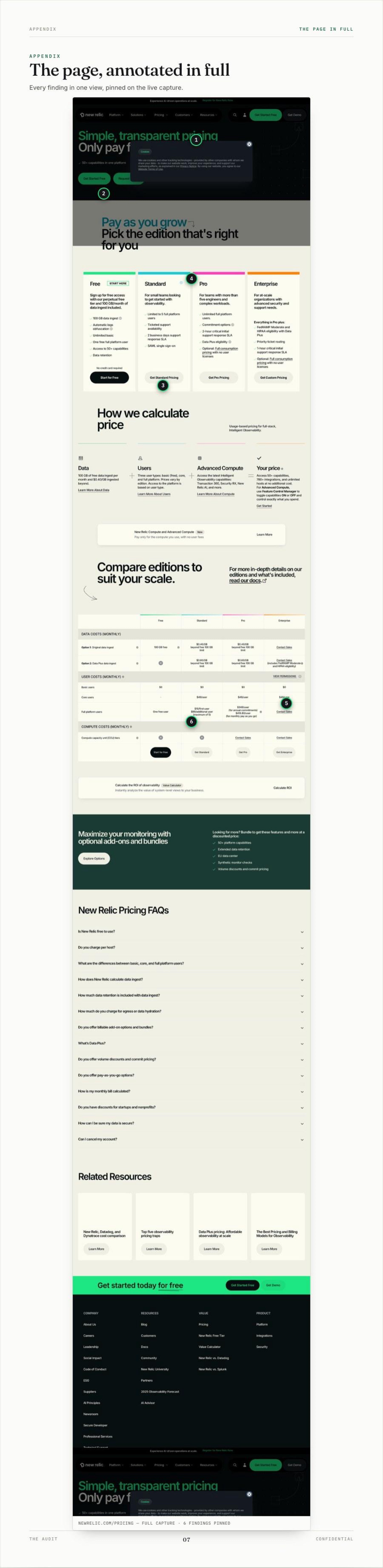Appendix: the full pricing page capture with all six findings pinned