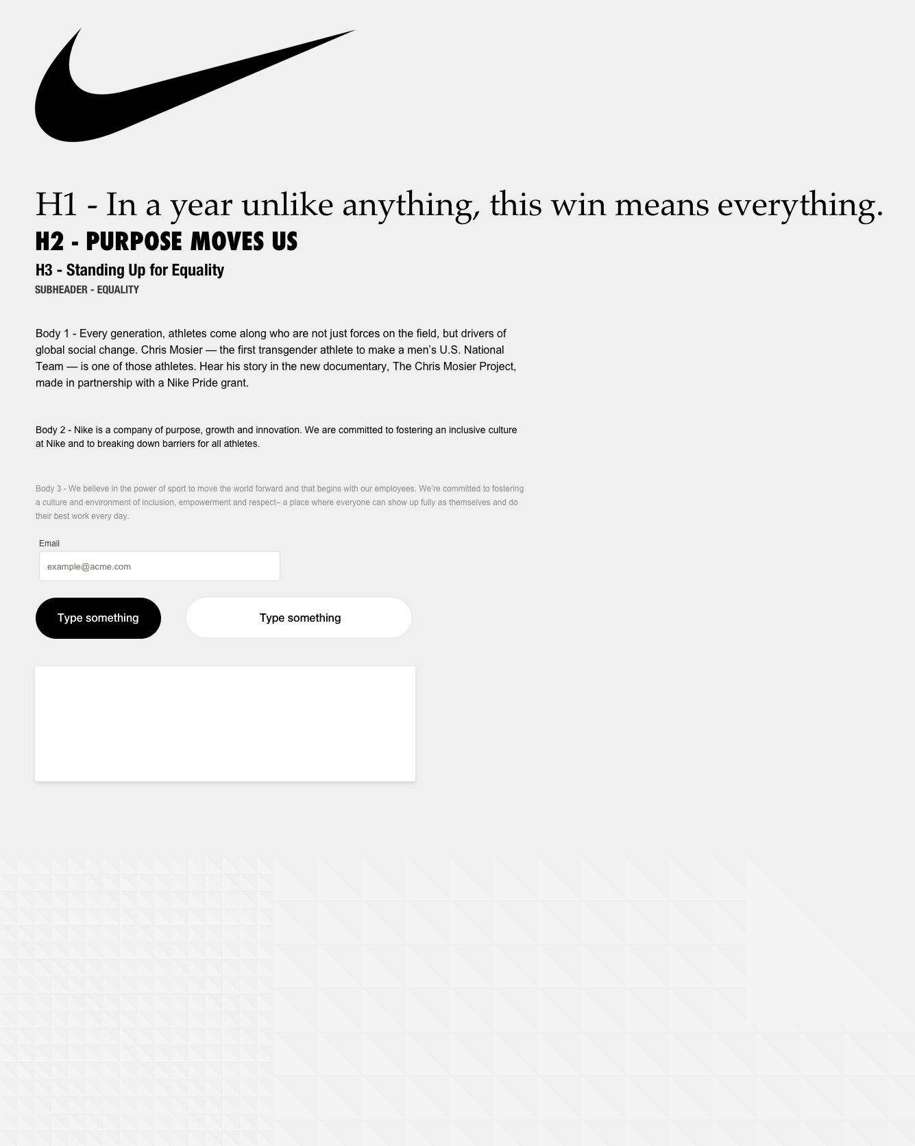Nike style sheet for the hub: headings, body copy, inputs and buttons in Nike's type